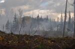 slash burning after logging