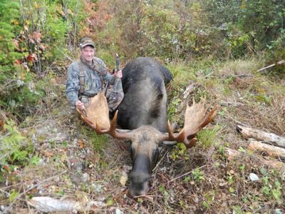 57 Inch Bull Moose