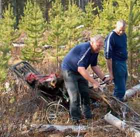 Moose on Cart