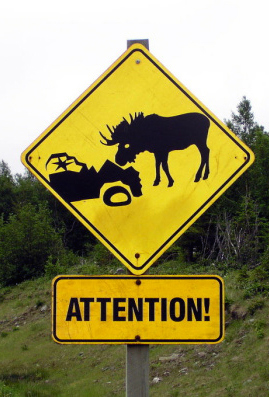 Newfoundland Moose Sign