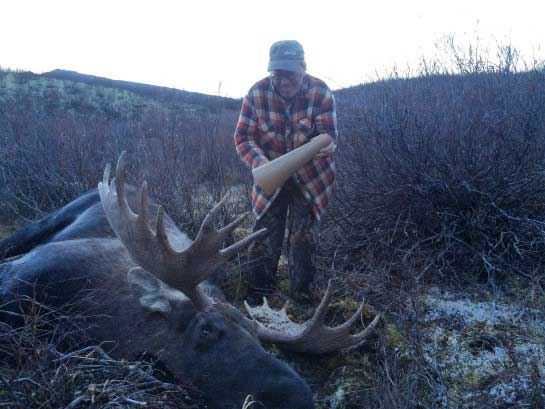 Proficient Moose Calling | The Best Moose Hunting Tips