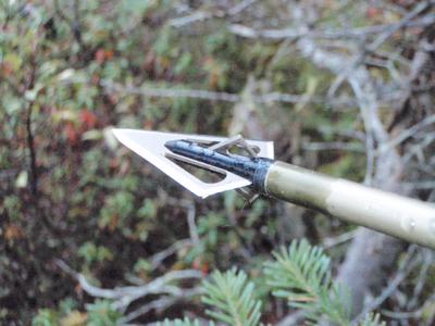 Traditional Archery Broadhead