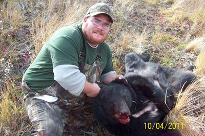 Harvested BC Black Bear