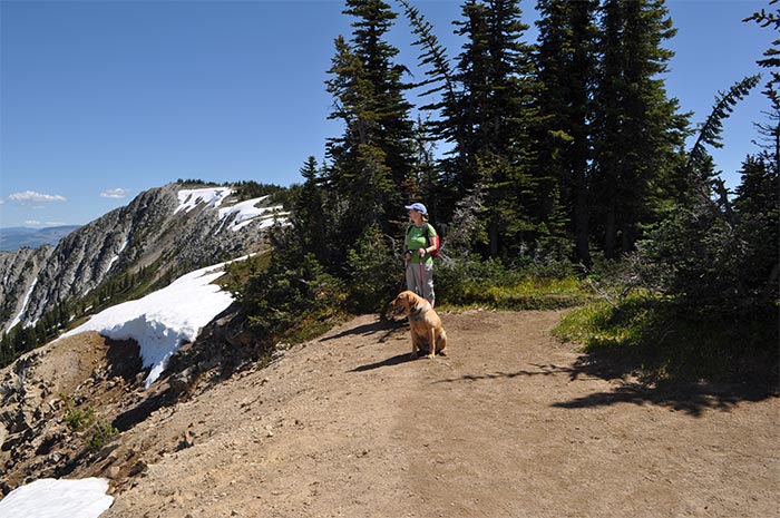 Big Buck Mountain Summit