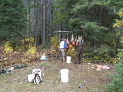 Elk Quarters Hanging at Camp