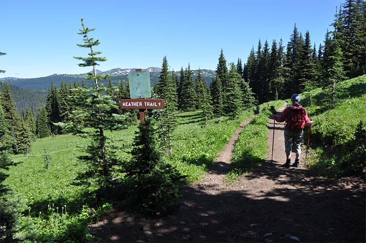 Heather Trail - Three Brothers Mountain