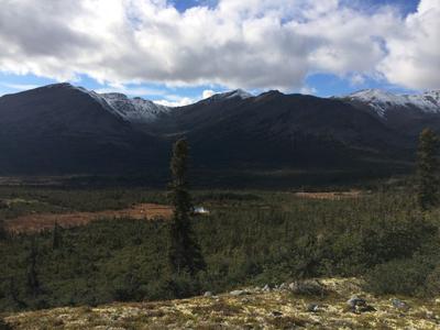 Yukon Moose Hunt