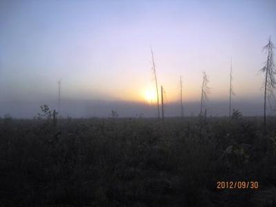 Hunting Near a Scent Pit