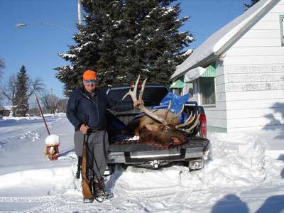 A 7 X 7 Elk I took with the rifle