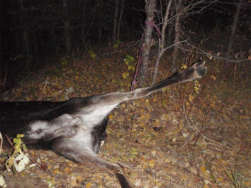 Hunting Rope is a Valuable Tool to Include in Your Pack.