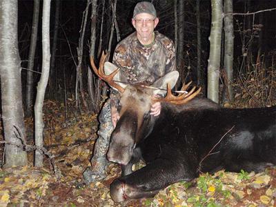 Moose Field Dressing at Night