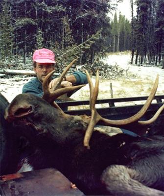 Bull Moose shot near a beaver pond.