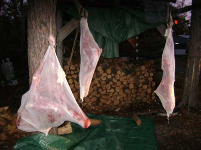 Moose Quarters Hanging