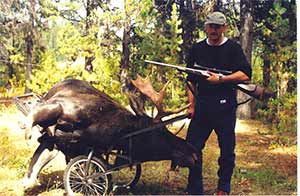 Moose on Cart