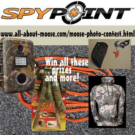 Moose Photo Contest Prizes