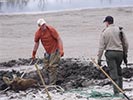 Moose rescue digging around the moose