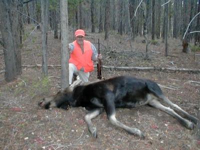 Northwestern Colorado Moose Hunt