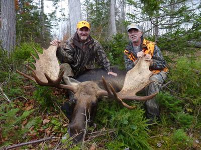 Moose Hunting in New Hampshire