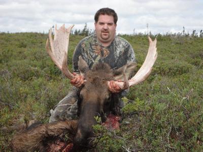 Opening Day Bull Moose