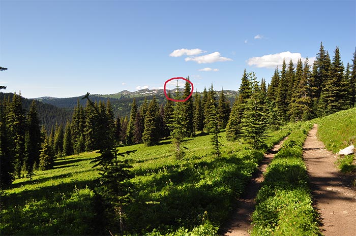 Three Brothers Mountain Summit