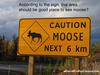 Moose Highway Sign