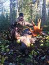 Nice bull moose taken with archery equipment.