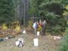 Elk Quarters Hanging at Camp