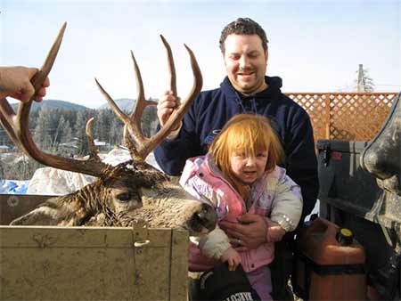  British Columbia Trophy Mule Deer 