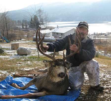  British Columbia Trophy Mule Deer 