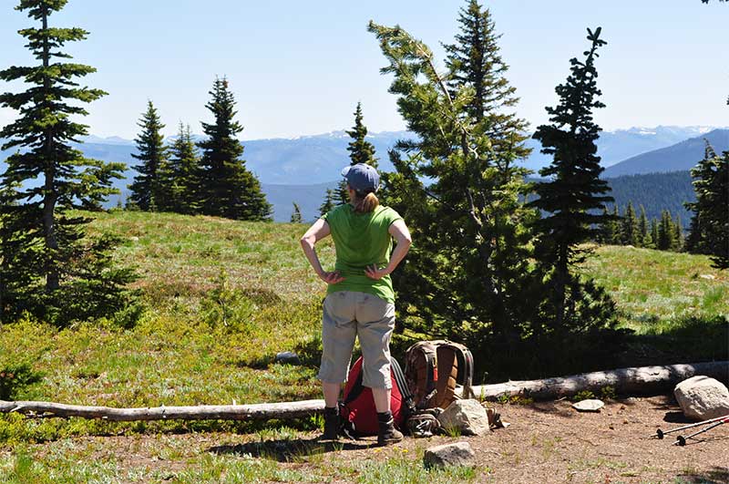 View east from the Three Brothers Mountain Trail Vancouver Hiking Trails