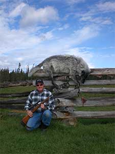 Big Country Outfitters Big Gray Wolf