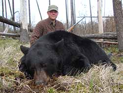 Big Country Outfitters Big Black Bear