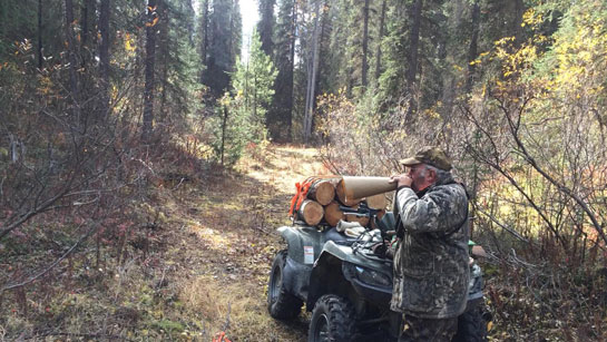 Me Calling to a Distant Bull Moose Me Calling to a Distant Bull Moose