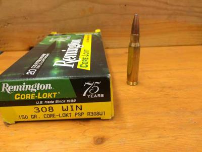 308 Winchester Cartridge