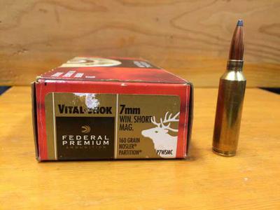 7mm WSM Cartridge (Sorry no 300 image)