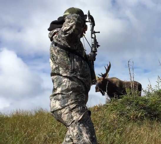 Archery Moose Hunting