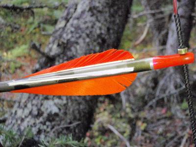 Feather Fletching