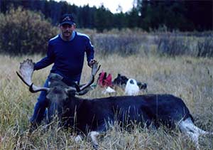 Bow Hunting Moose Success