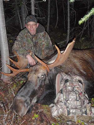 British Columbia Bull Moose