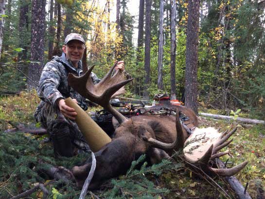 Another bull down after being lured by our moose call!