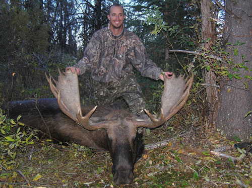 Hunt Big Bull Moose in Central BC