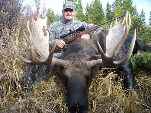 Hunt Big Bull Moose in Central BC