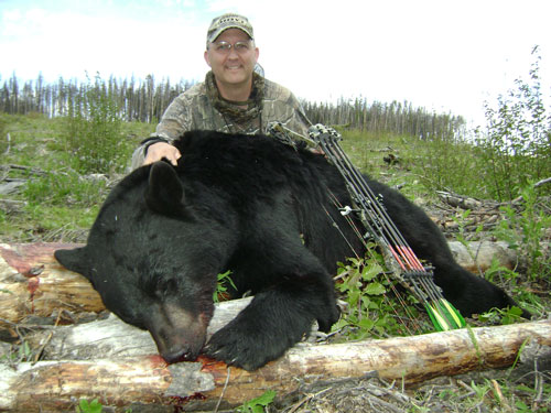 Hunt Big Bears in Central BC