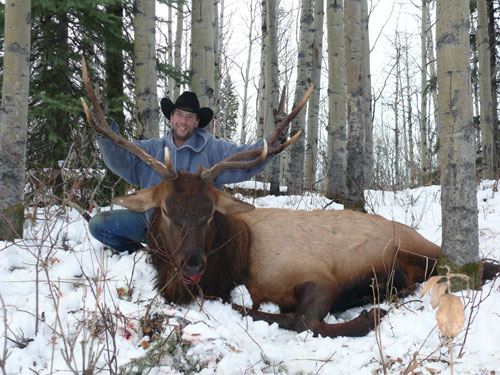 Hunt Big Elk in Central BC