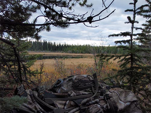 natural ground hunting blind