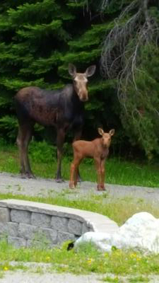 LUCKY ME!!! Mom and her Newborn!!!!