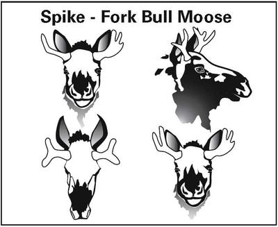 Spike Fork Moose Definition - Graphic by BC Ministry of Environment