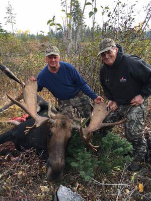 Successful Archery Moose Hunt