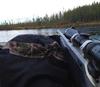Moose Hunting Rifle