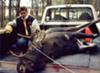 Young Bull Moose in Pickup Truck (photo submitted by webmaster)